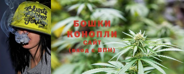 apvp Бородино