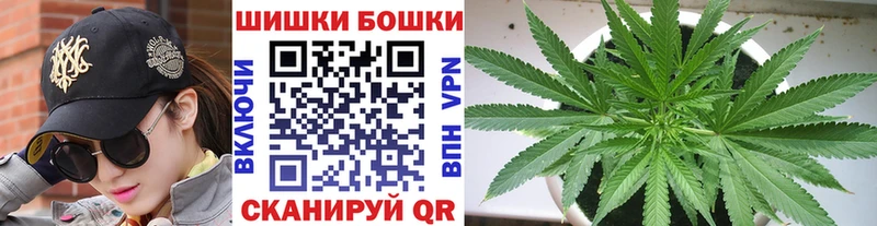 Купить где Бородино Каннабис семена